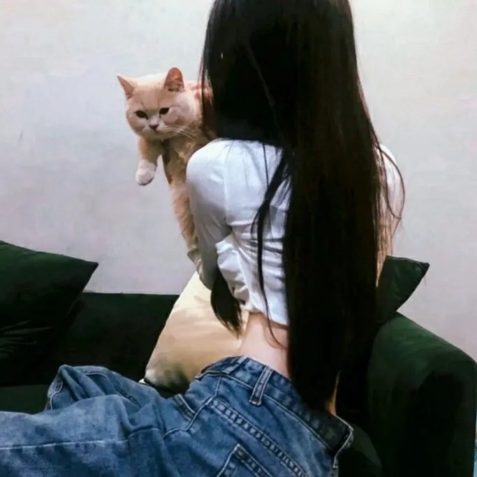 良缘再缔